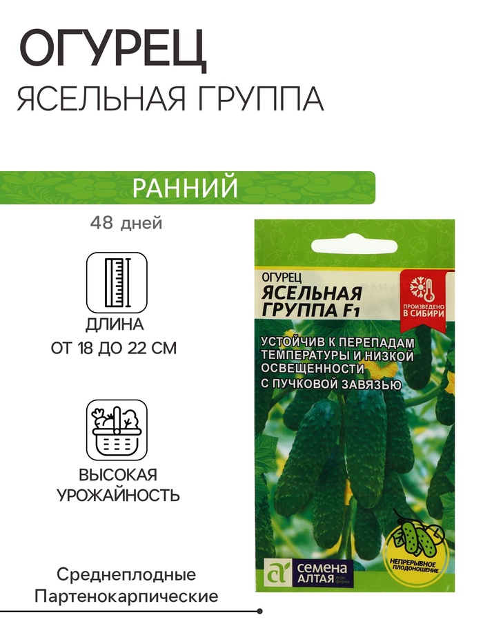 Семена Огурец