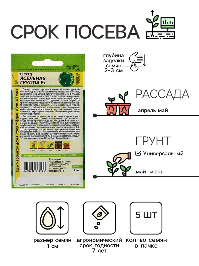 Семена Огурец