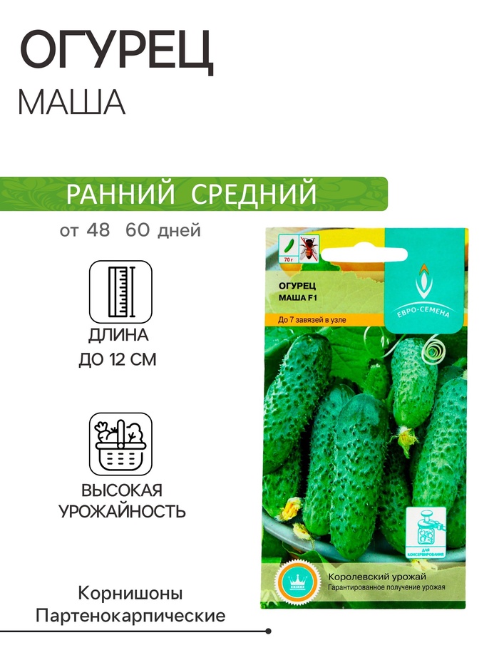 Семена Огурец «Маша», F1, партенокарпический, 5 шт., «Евро - семена»