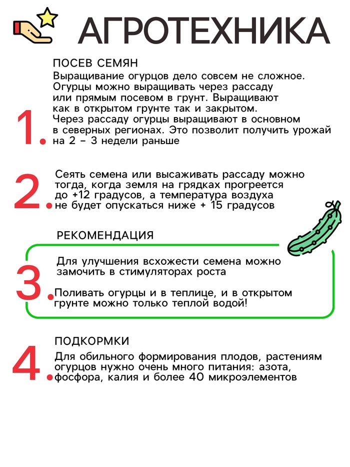 Семена Огурец «Конни» F1, скороспелый, партенокарпический, 0.3 г, «Удачные семена»