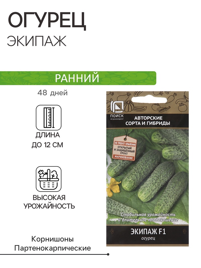 Семена Огурец