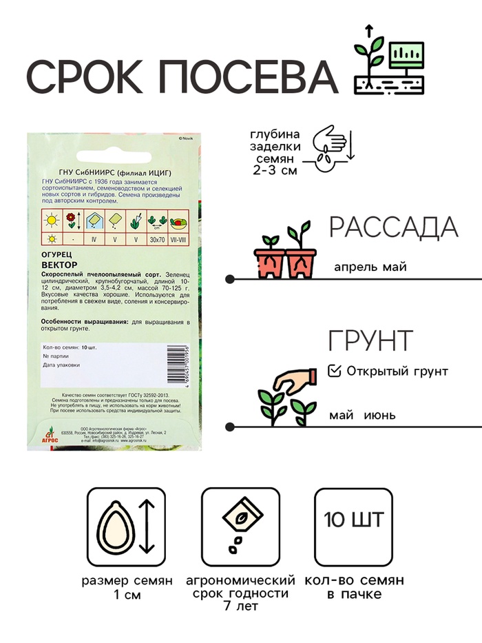 Семена Огурец «Вектор», 10 шт., «Агрос»