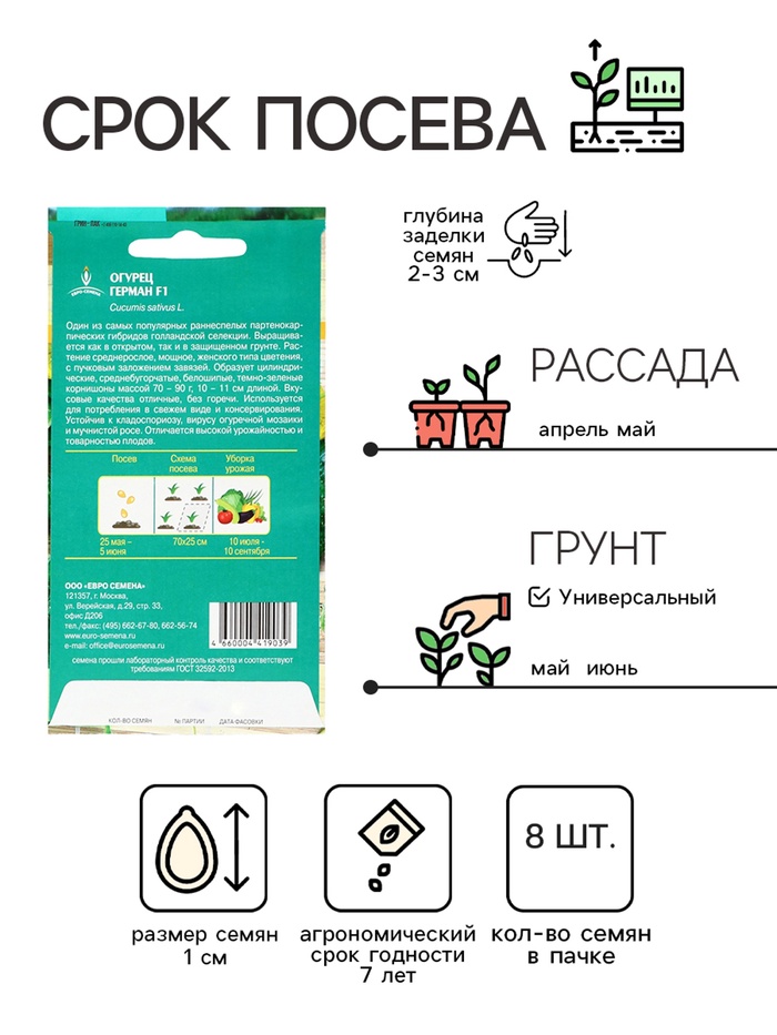 Семена огурца «Герман», F1, 8 шт., «Евросемена»
