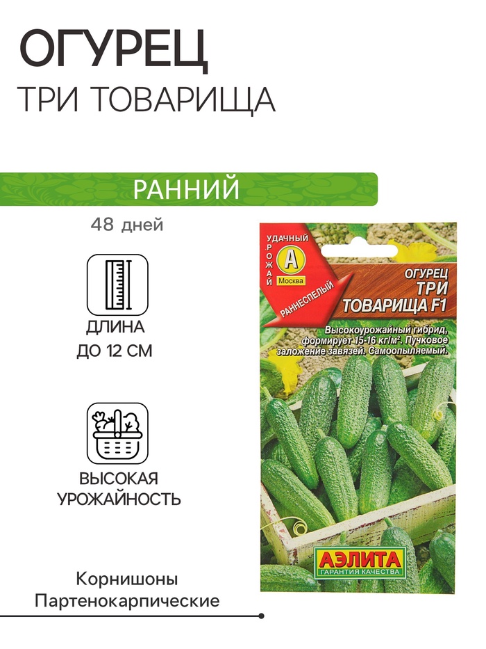 Семена Огурец