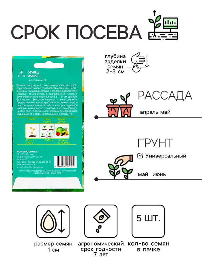 Семена Огурец «Маша», F1, партенокарпический, 5 шт., «Евро - семена»