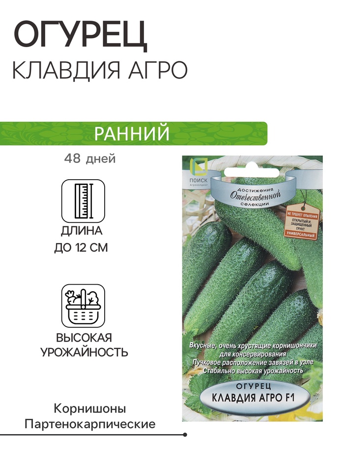 Семена Огурец «Клавдия Агро», F1, 12 шт., «Поиск»
