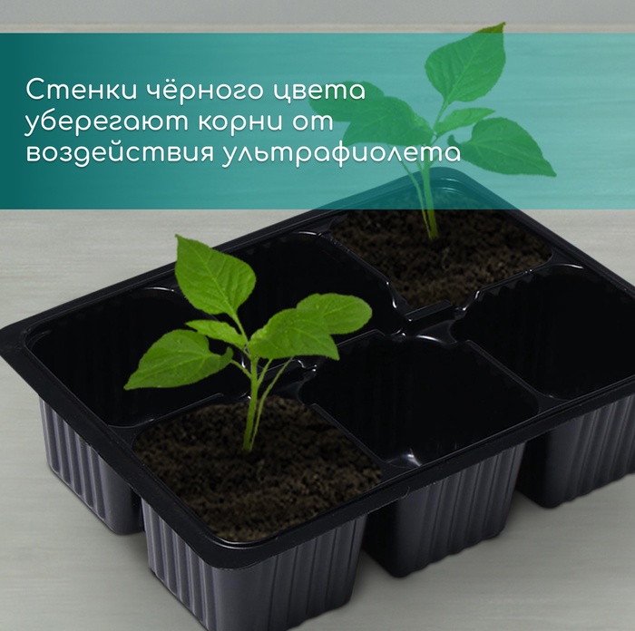 Кассета для рассады, 6 ячеек по 120 мл, пластик, чёрная, 18×13×6 см, набор 10 шт., Greengo