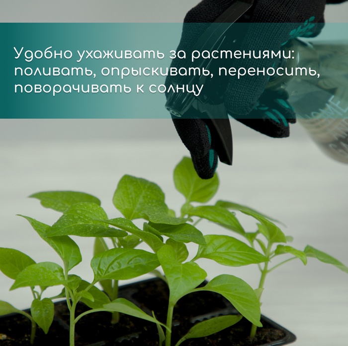 Кассета для рассады, на 72 ячейки, по 50 мл, из пластика, чёрная, 54×28×4 см, Greengo
