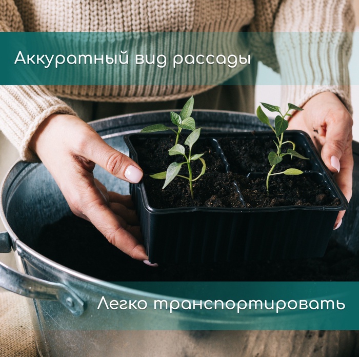 Кассета для выращивания рассады Greengo на 21 ячейку, по 200 мл, из пластика, 54×28×10 см