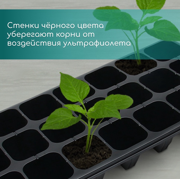 Кассета для выращивания рассады Greengo на 21 ячейку, по 200 мл, из пластика, 54×28×10 см