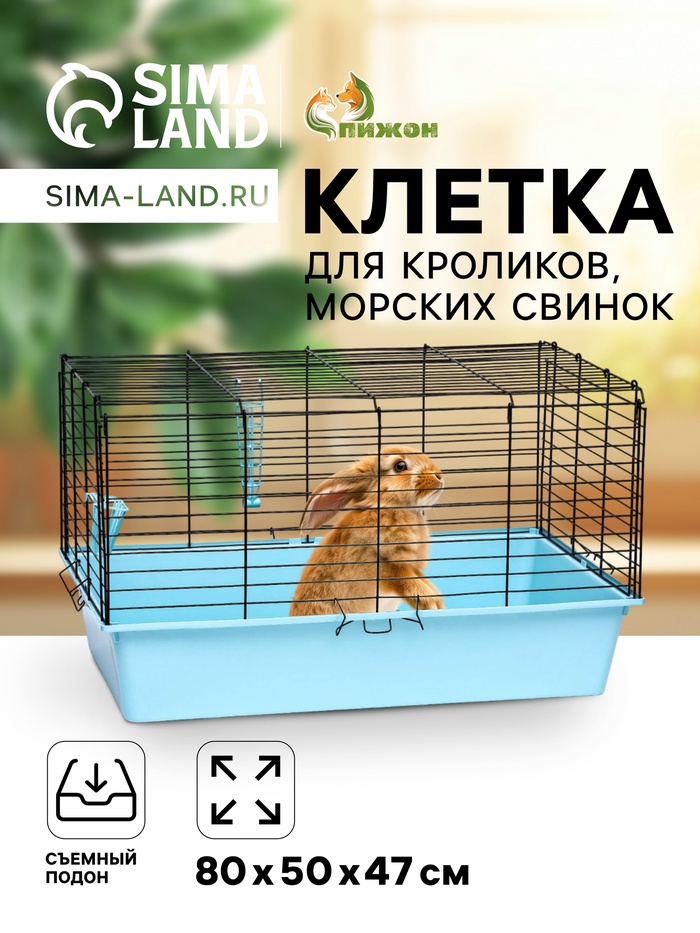 Клетка для кроликов, морских свинок «Пижон» №4 складная, 80×50×47 см, бирюзовая