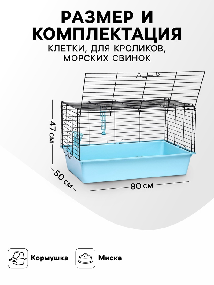 Клетка для кроликов, морских свинок «Пижон» №4 складная, 80×50×47 см, бирюзовая