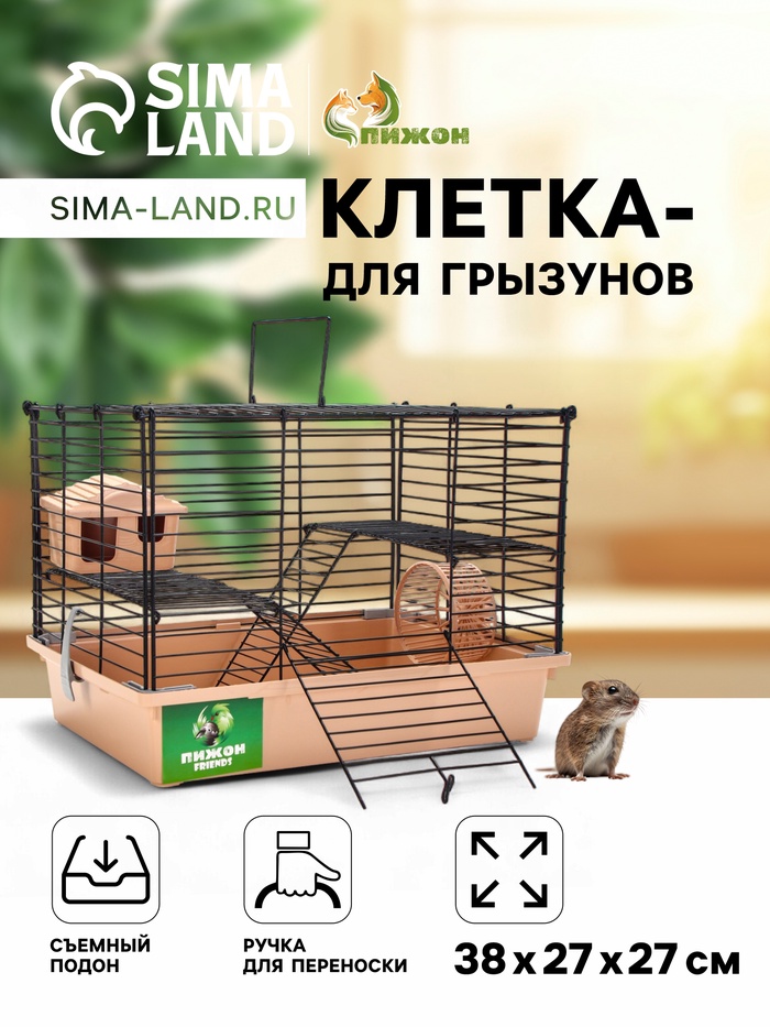 Клетка для грызунов «Пижон», 38×27×27 см, складная, домик, миска, колесо, бежевая