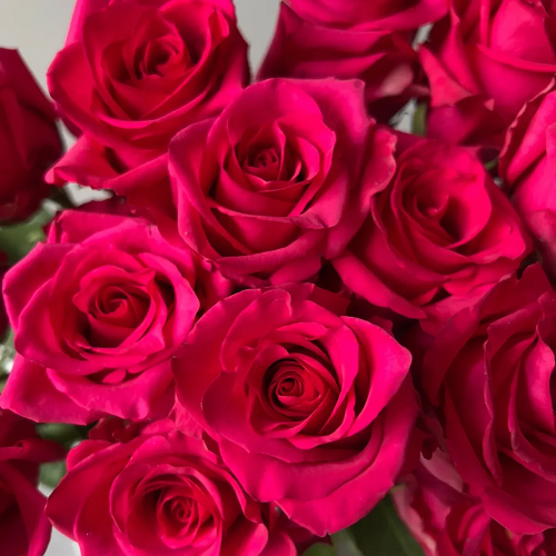 R529 ХОТ ЭКСПЛОРЕР