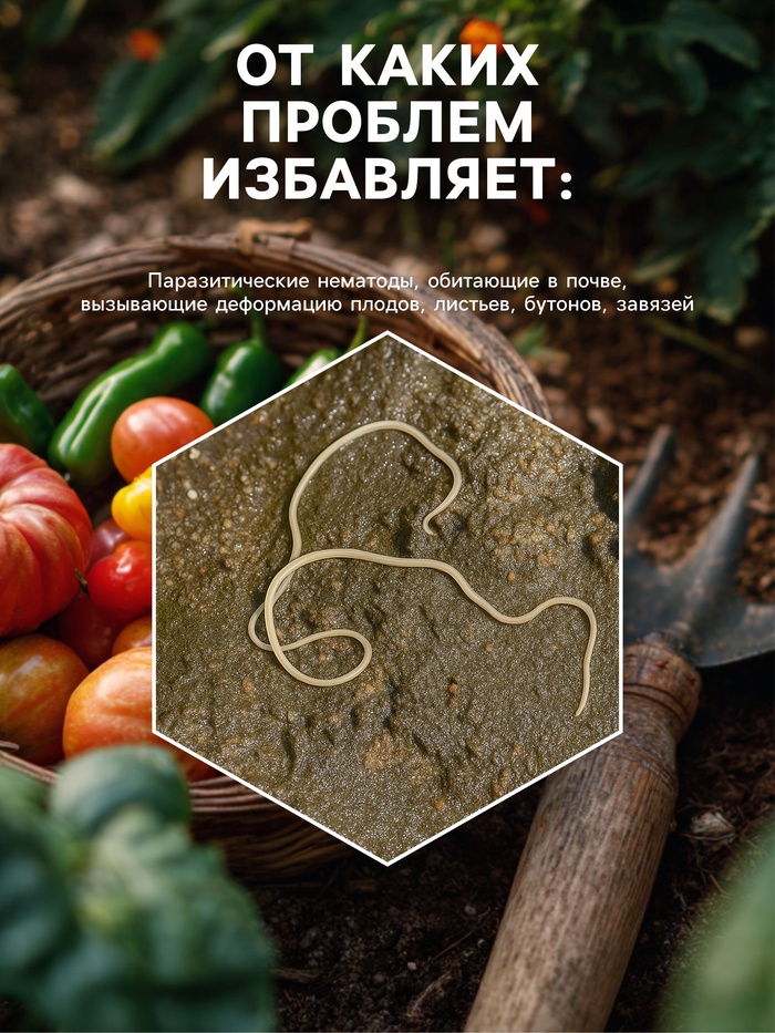Средство от болезней растений