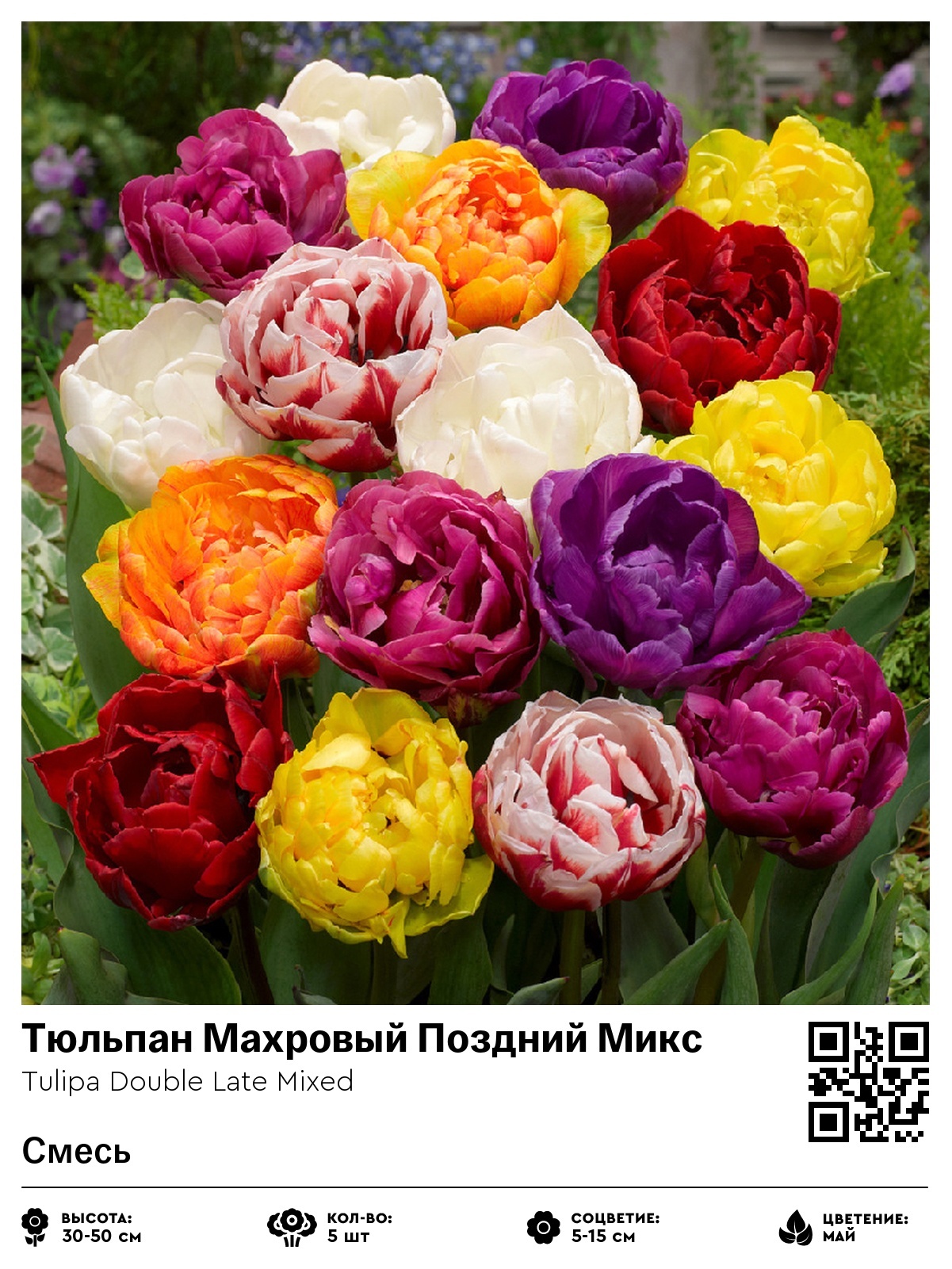 Тюльпан Махровый Поздний Микс (Смесь)