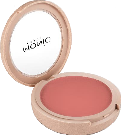 MONIC BEAUTY Румяна компактные Skin Adapt! тон 04 French Rosette