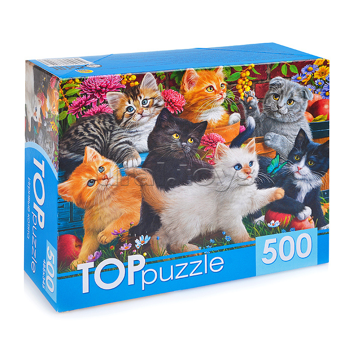 Пазлы 500 TOPpuzzle