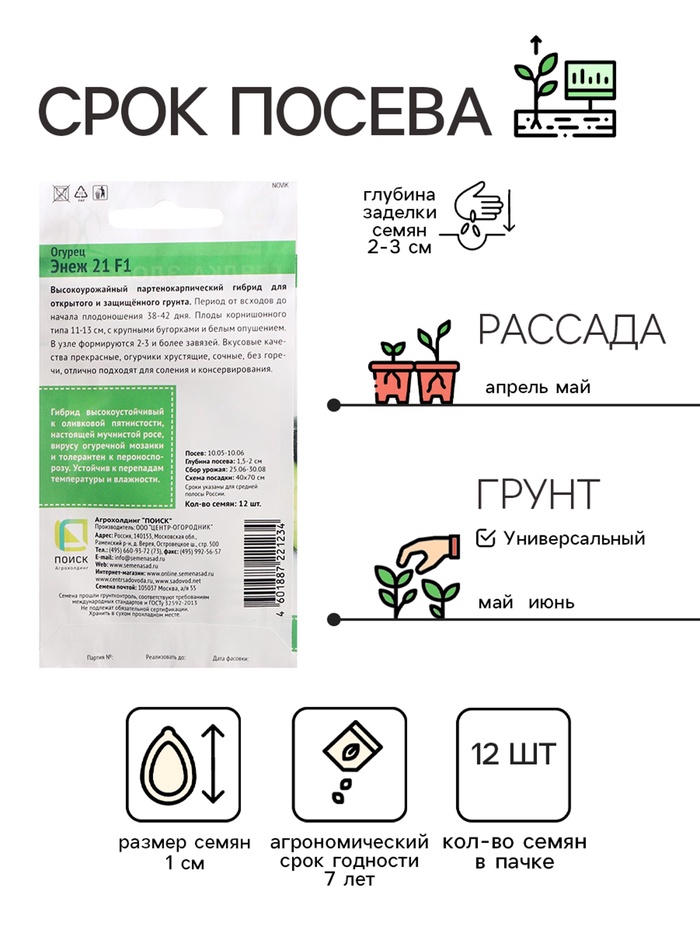Семена Огурец