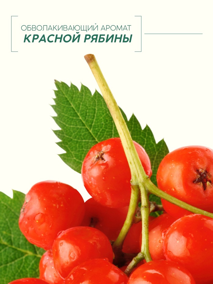 Гель для душа, интенсивное питание кожи, аромат рябины, 400 мл, Рябина