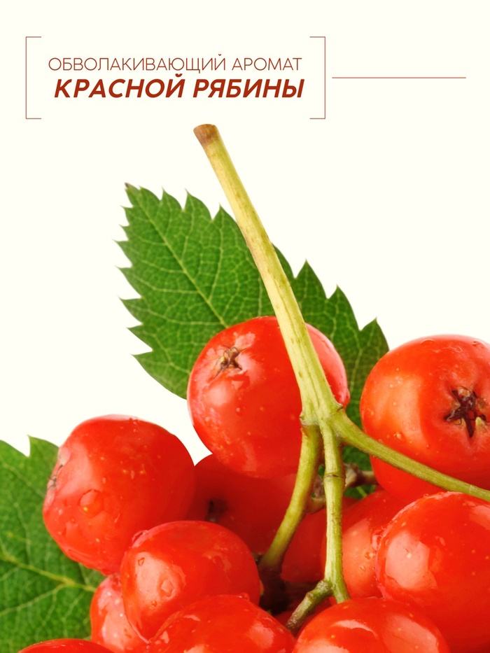 Шампунь для волос, молодость и объем, аромат рябины, 250 мл, Рябина