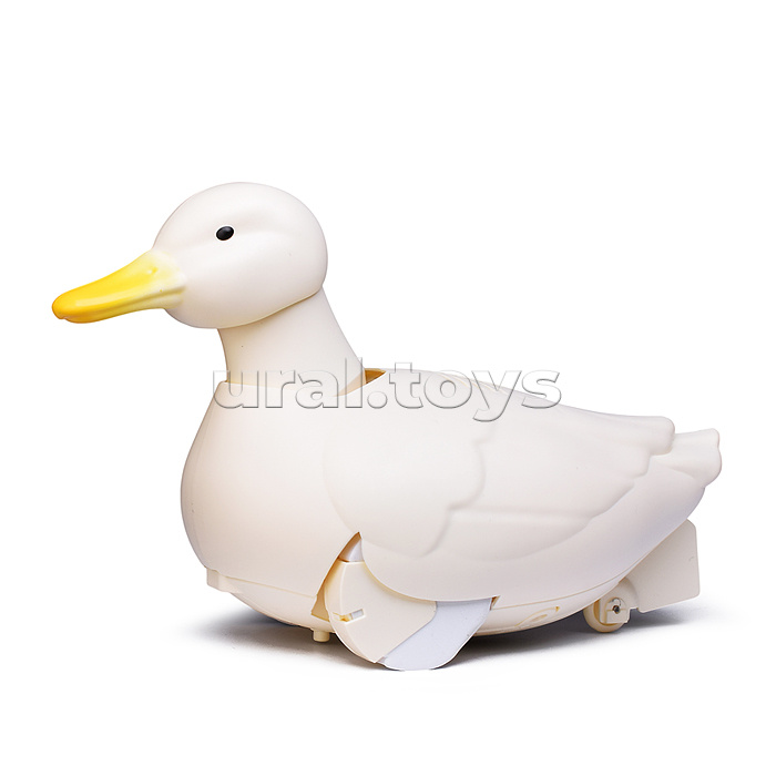 Утка