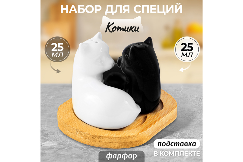 Набор д/специй 2 пр. 11*9*7 см