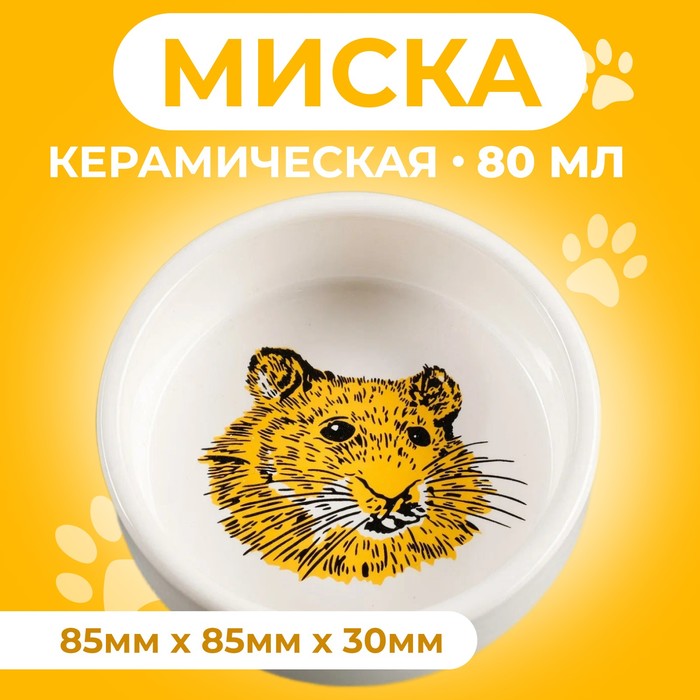 Миска для грызунов «Сытая мордочка», 80 мл 8.5×3 см, керамика, белая