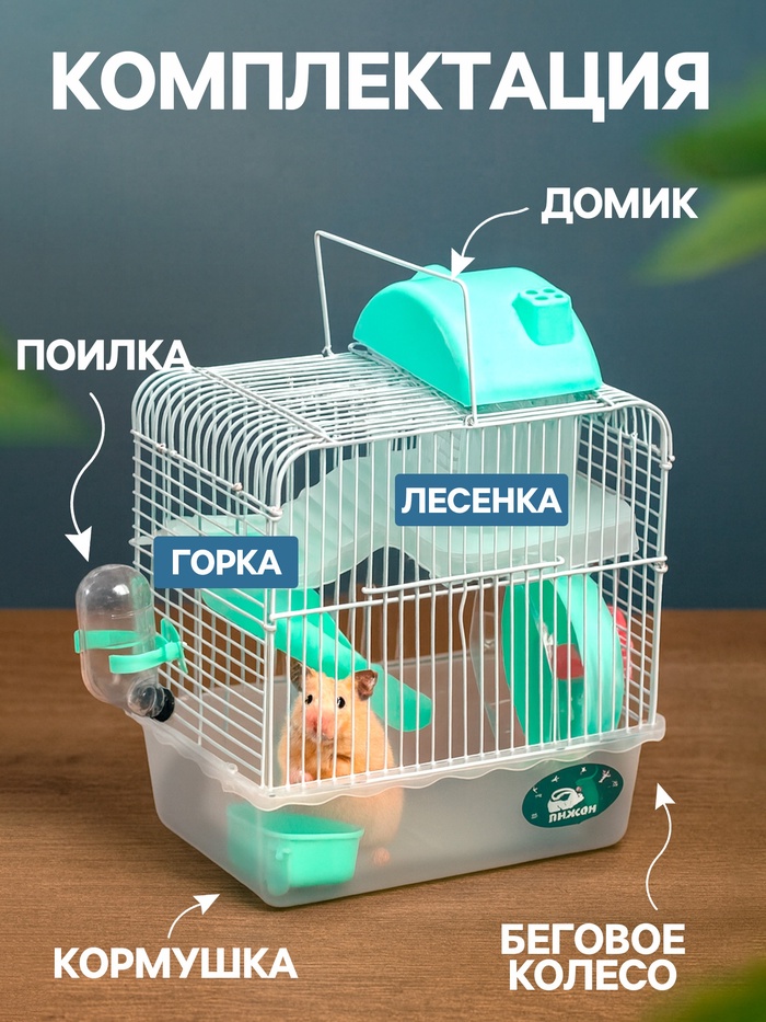 Клетка для грызунов «Пижон», 23×17×33 см, прозрачная, зелёное наполнение