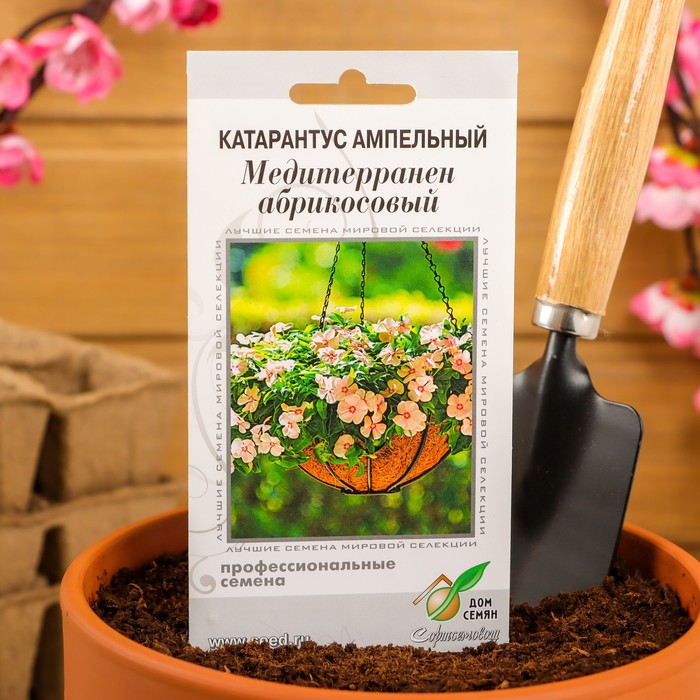 Семена цветов Катарантус ампельный «Медитерранен абрикосовый», 5 шт.