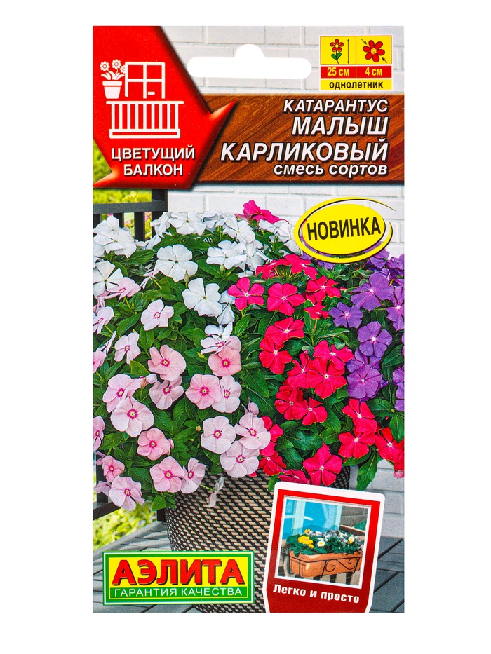 Семена цветов Катарантус Малыш карликовый, смесь сортов Цветущий балкон, Ц/П,0,05 г