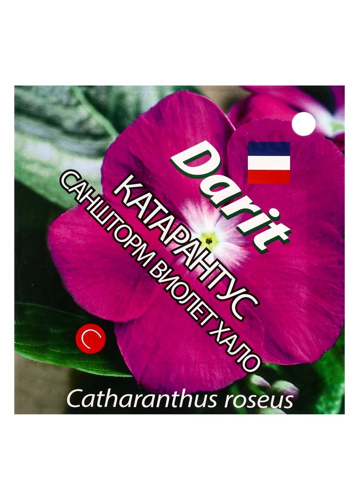 Семена цветов Катарантус Саншторм