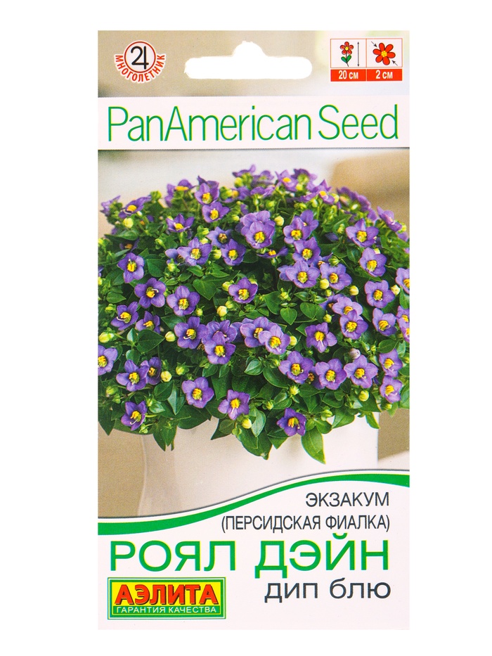 Семена цветов Экзакум (Персидская фиалка) Роял дэйн дип блю (драже) PanAmerican, Ц/П,4 шт. 1094596