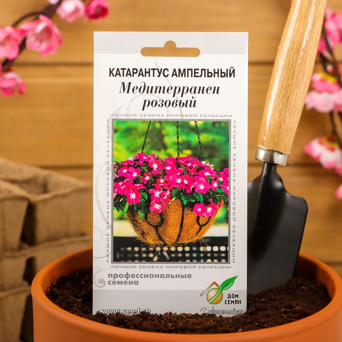 Семена цветов Катарантус ампельный «Медитерранен розовый», 5 шт.