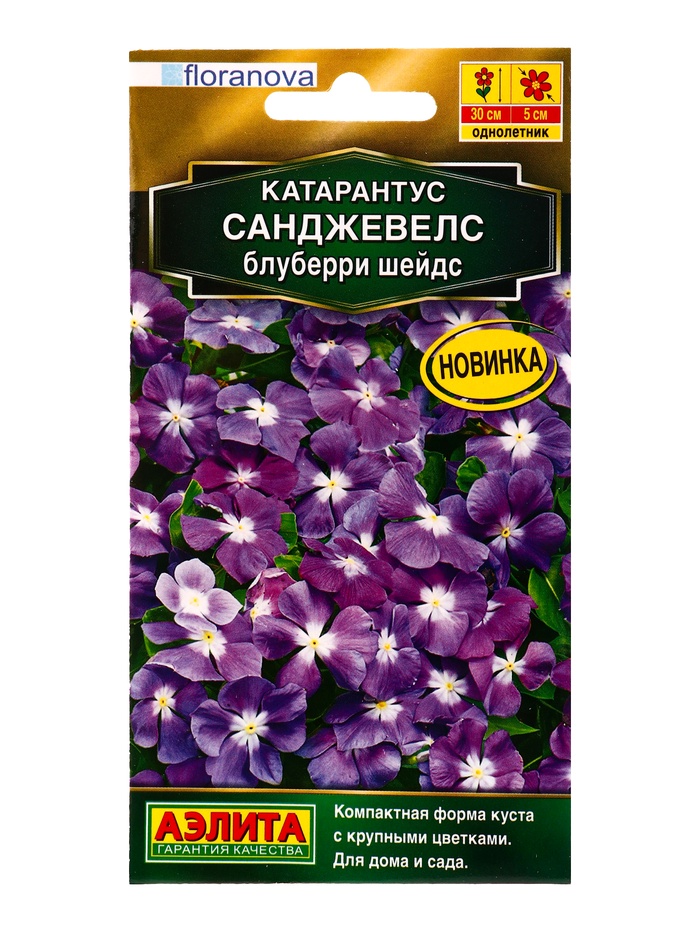 Семена цветов Катарантус Санджевелс блуберри шейдс С. Floranova Золотая серия, Ц/П,7 шт.