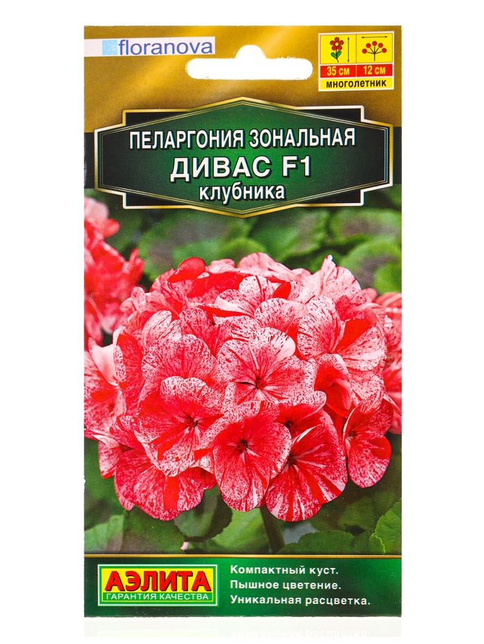Семена цветов Пеларгония Дивас F1 клубника Мн Золотая серия, Ц/П,3 шт.