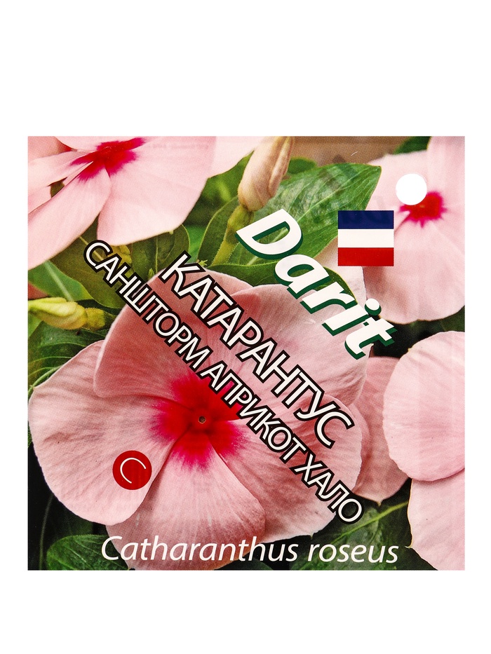 Семена цветов Катарантус Саншторм