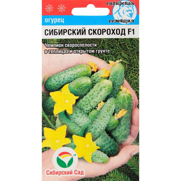 Семена Огурец