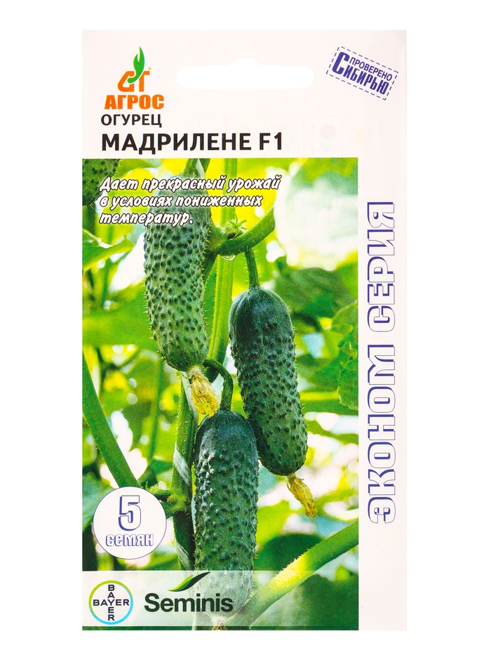 Семена Огурец «Мадрилене», F1, 5 шт., «Агросс»